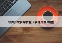 软件开发自学教程（软件开发 教程）